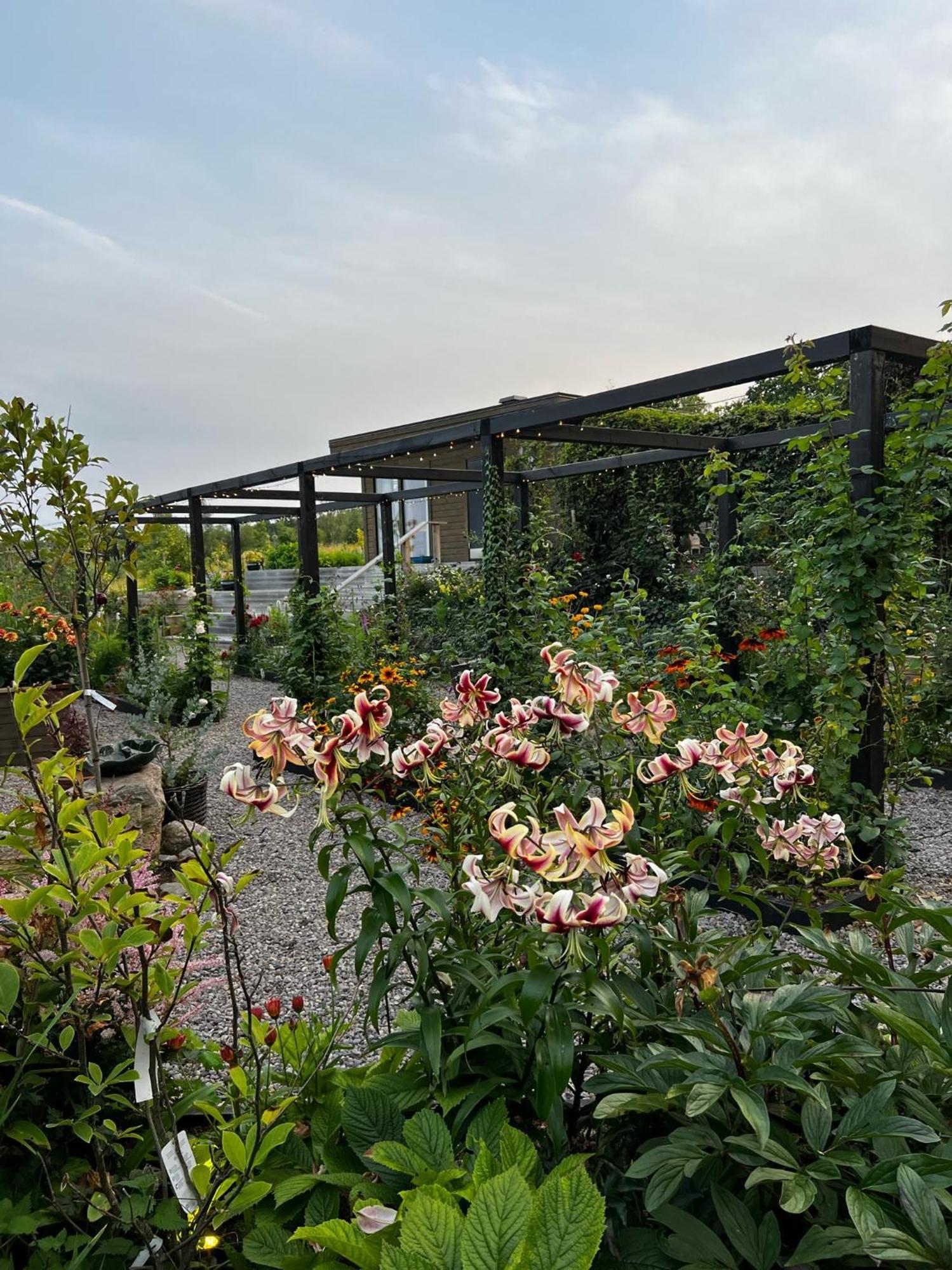 Villa Fantastisk Vaetterutsikt Mellan Habo Och Bankeryd. Exterior foto